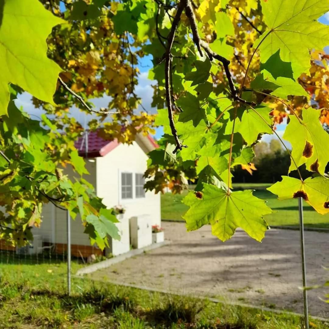Osada Wilaneska Domki Mikolajki Mazury Eksteriør bilde