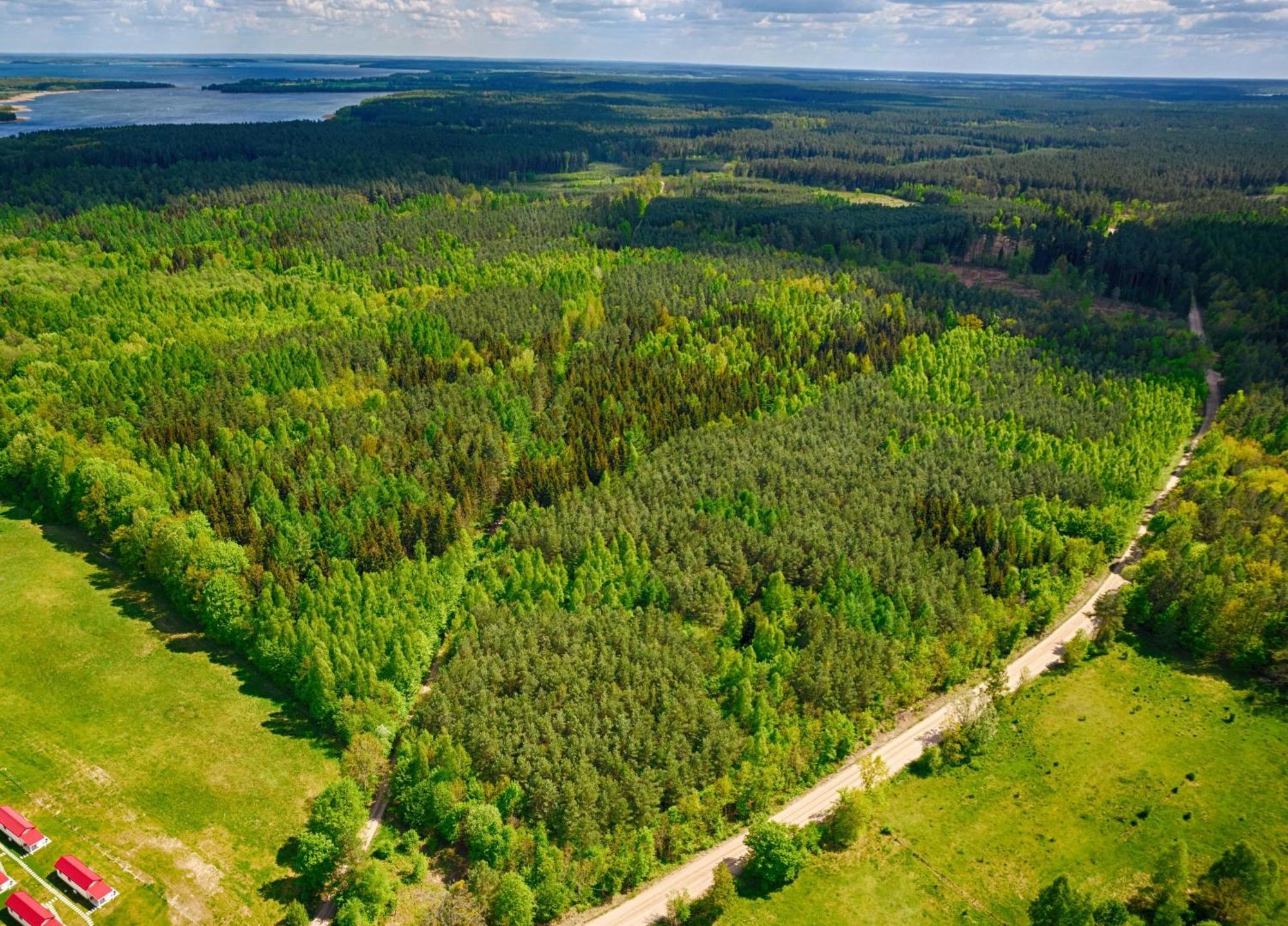 Osada Wilaneska Domki Mikolajki Mazury Eksteriør bilde